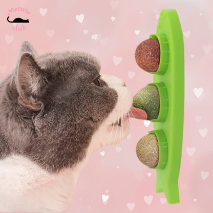 Stick-on Catnip Station