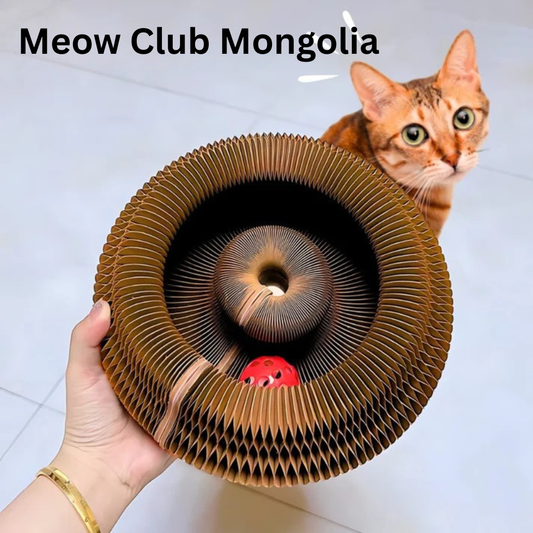 Муурны ухаалаг тоглоом (бөмбөгтэй)