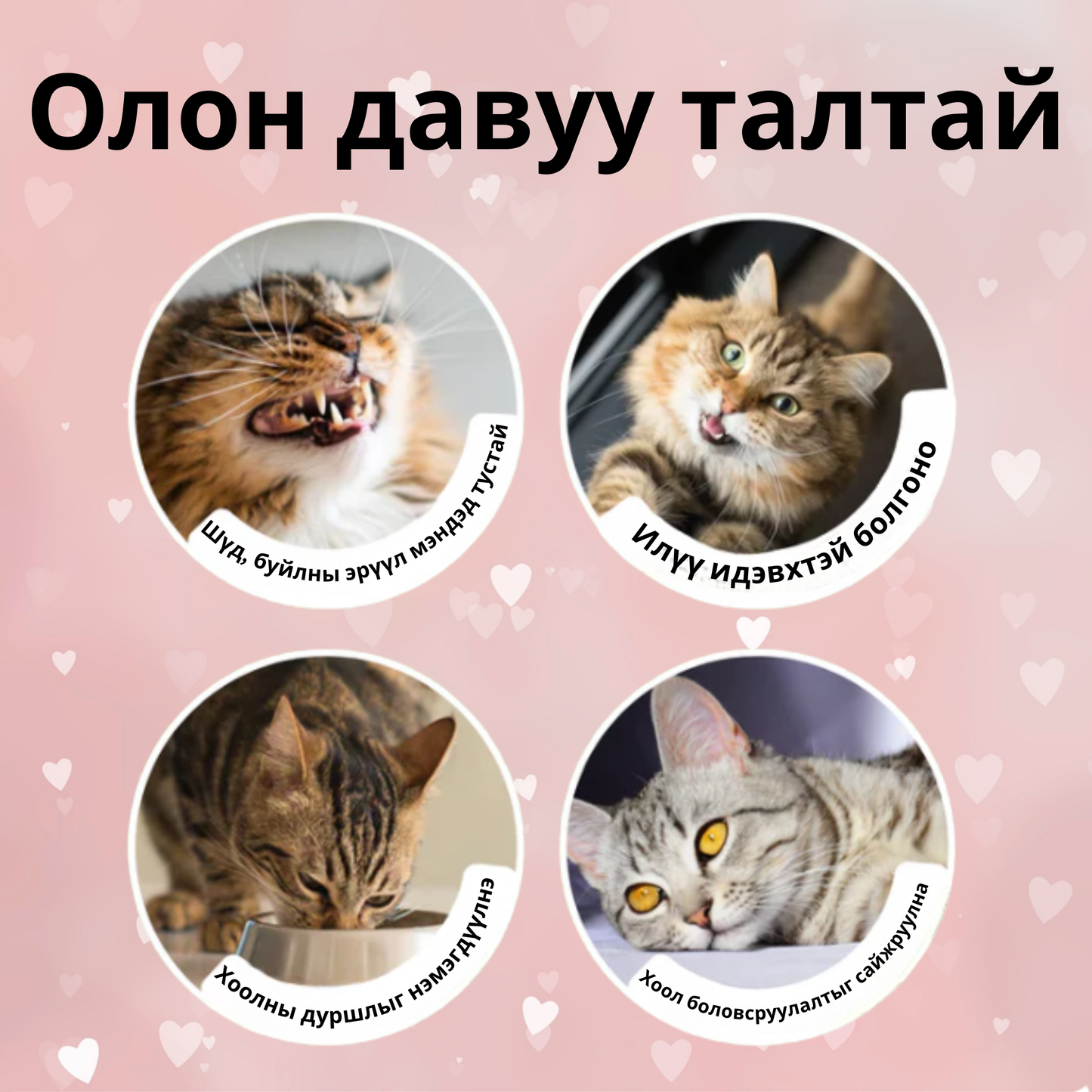 Stick-on Catnip Station